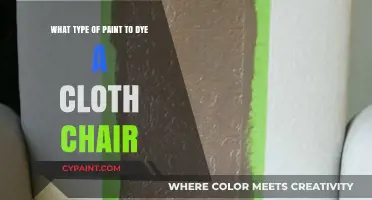 Best Paint for Dyeing Cloth Chairs