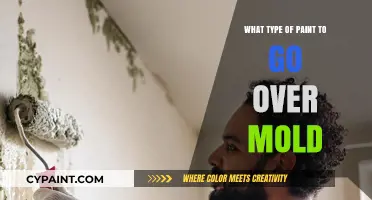 Best Paint Types to Cover and Prevent Mold Growth Effectively