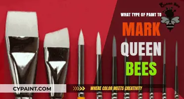 Best Paint Types for Safely Marking Queen Bees: A Guide