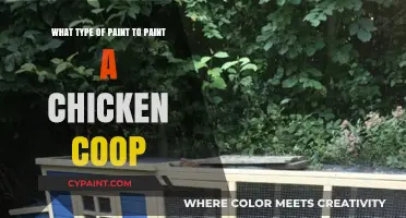 Best Paint for Chicken Coops: A Guide