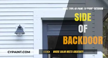 Choosing the Perfect Paint for Your Backdoor Exterior