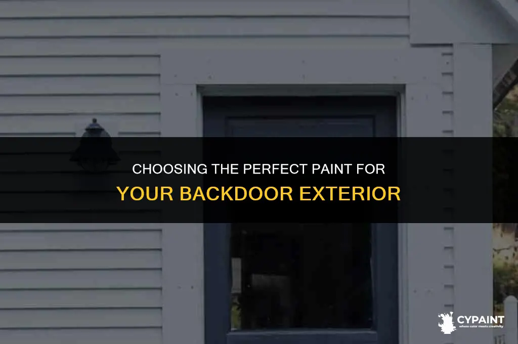 what type of paint to paint exteroir side of backdoor