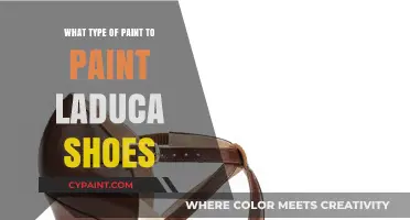 Best Paint Types for Customizing LaDuca Dance Shoes