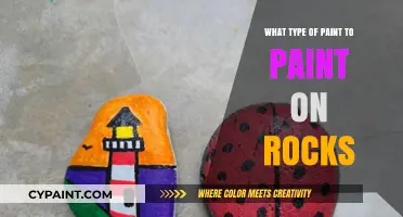 Best Paints for Rock Painting: Tips and Recommendations for Beginners