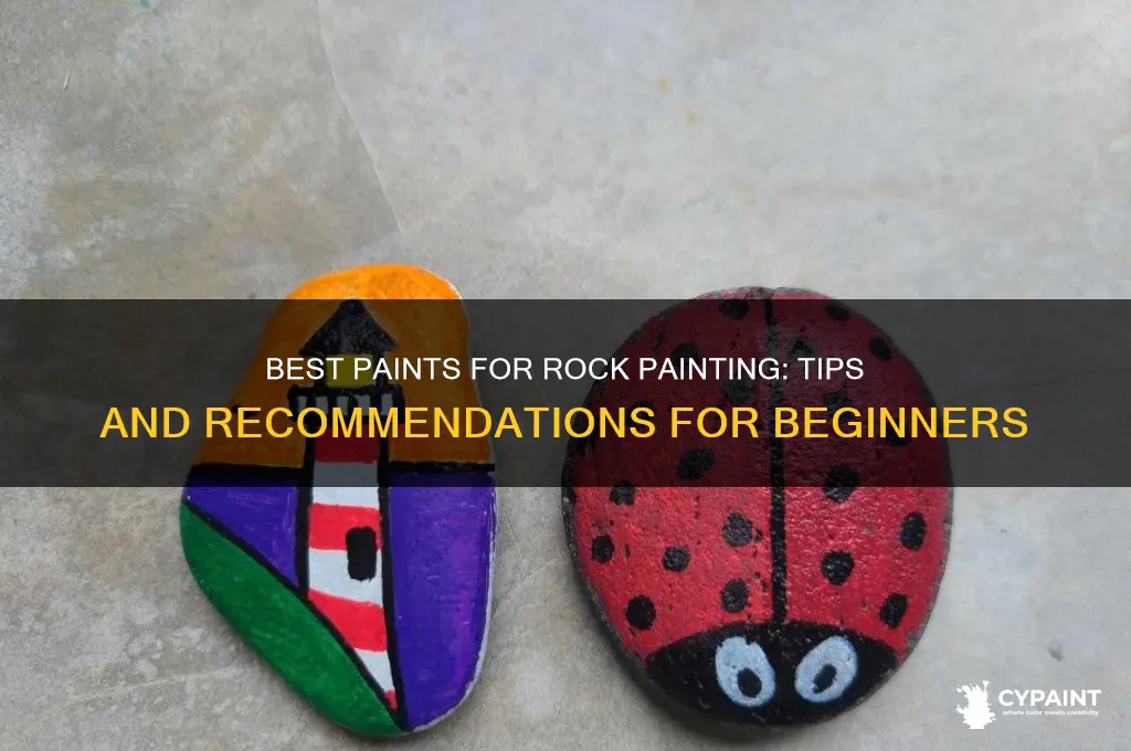 what type of paint to paint on rocks