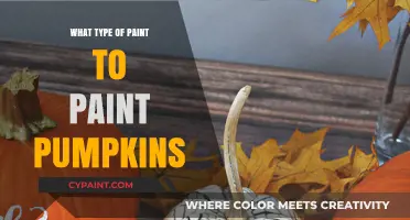 Best Paint Types for Decorating Pumpkins: A Creative Guide