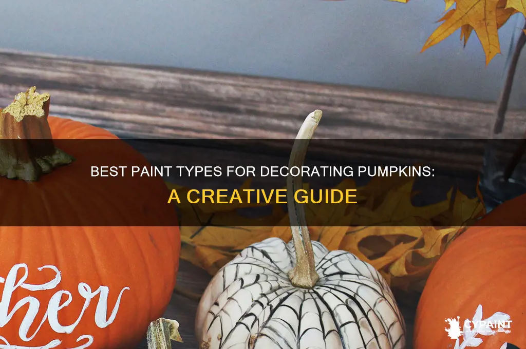 what type of paint to paint pumpkins