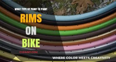 Best Paint for Bike Rim Makeovers