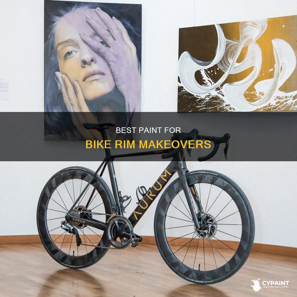 what type of paint to paint rims on bike