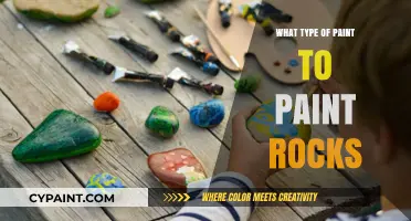 Best Paint Types for Rock Painting: A Creative Guide