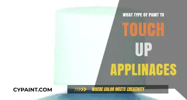 Best Paint Types for Touching Up Appliances: A Comprehensive Guide