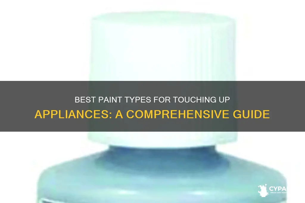 what type of paint to touch up applinaces