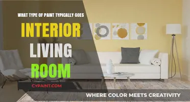Best Paint for Living Rooms: A Guide to Finishes