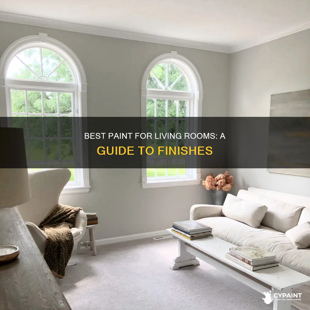 what type of paint typically goes interior living room