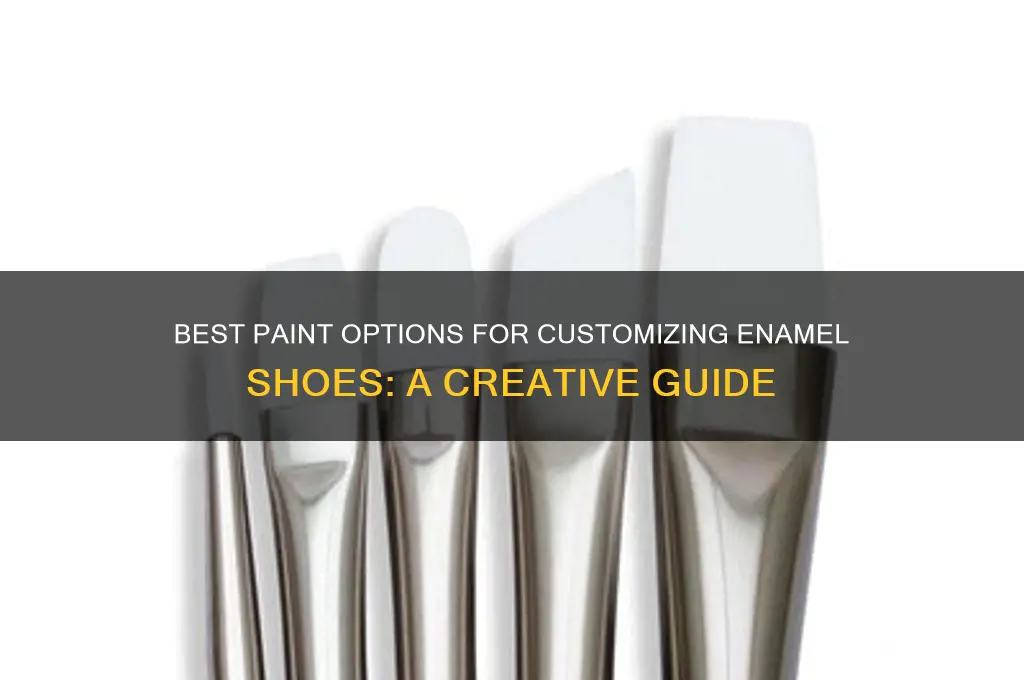 what type of paint works on enamel shoes