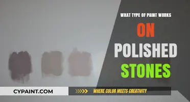 Best Paint Options for Decorating Polished Stones: A Creative Guide