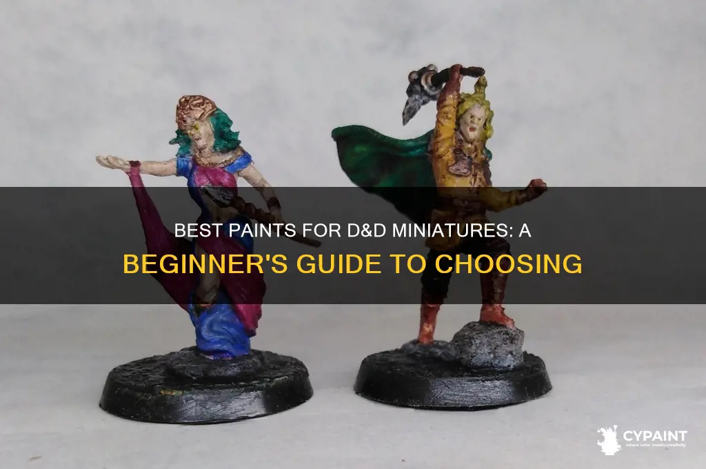 what type of paints for d&d miniatures