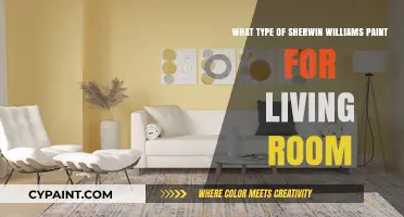 Best Sherwin-Williams Paint for Your Living Room
