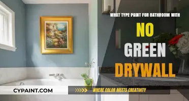 Best Paint for Bathrooms: Avoid Green Drywall