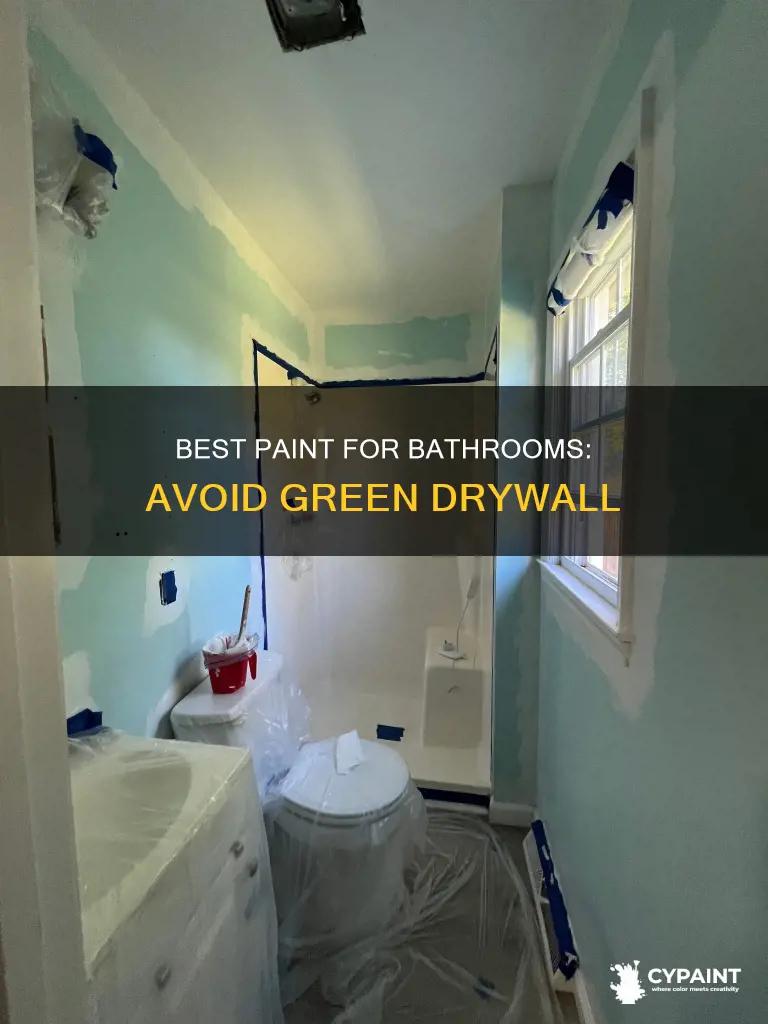 what type paint for bathroom with no green drywall