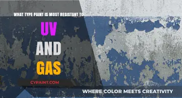 Unveiling the Secrets: Paint Types That Defy UV and Gas Damage