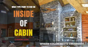 Best Paint for Your Cabin's Interior