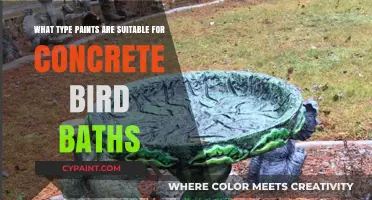 Best Paints for Concrete Bird Baths