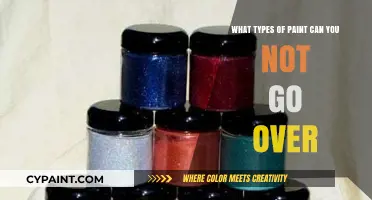 Paint Layers: What Not to Cover