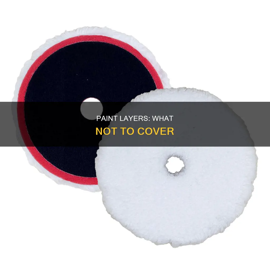 what types of paint can you not go over
