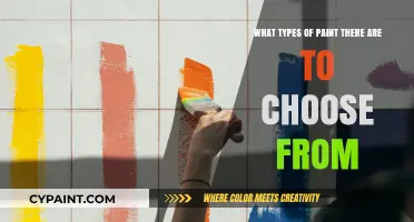 Explore the World of Paint Varieties
