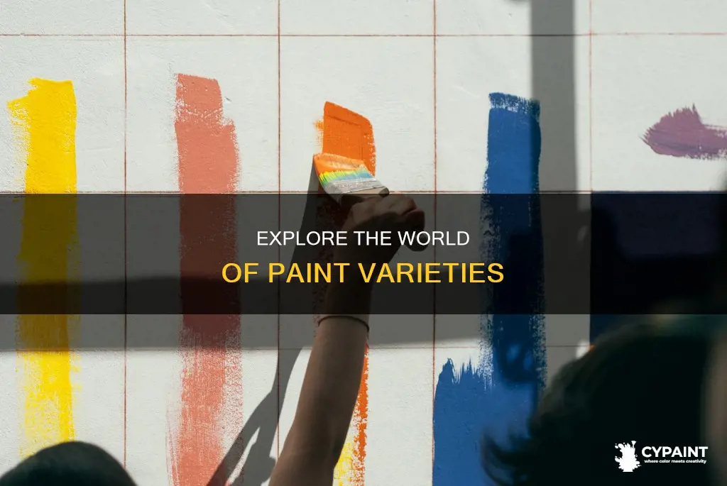 what types of paint there are to choose from