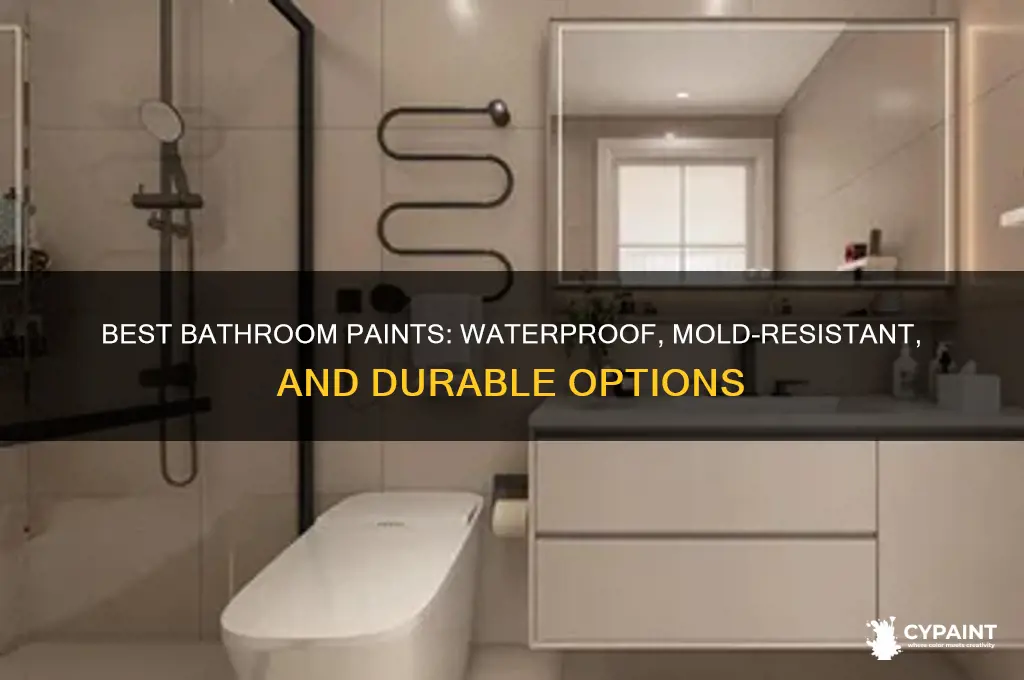what types of paint work in a bathroom