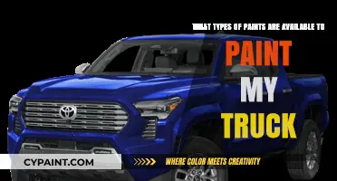 Exploring Paint Options for Your Truck: A Comprehensive Guide