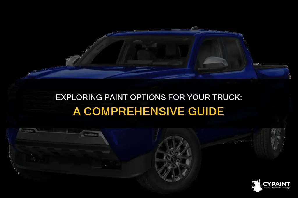 what types of paints are available to paint my truck