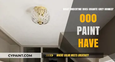 Explore the Undertones of Granite Grey Paint
