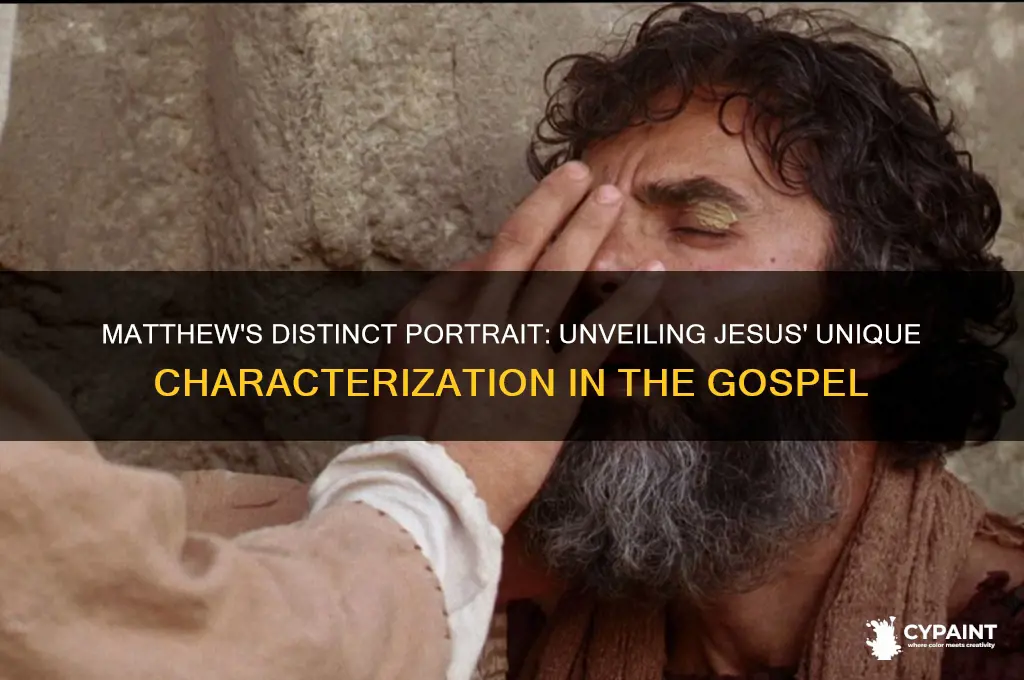 what unique portiart does matthew paint jesus in