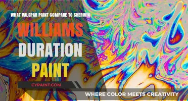 Valspar vs. Sherwin-Williams: Comparing Paint Durability