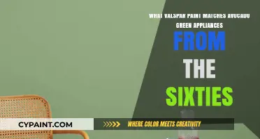 Reviving Retro: The Perfect Valspar Paint Match for 1960s Avocado Green Appliances