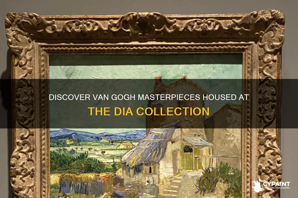 what van gogh paintings are at the dia