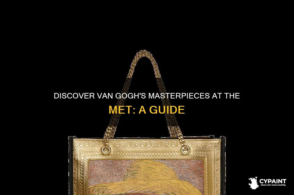 what van gogh paintings are at the met