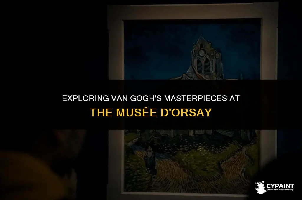 what van gogh paintings are in the musee d orsay