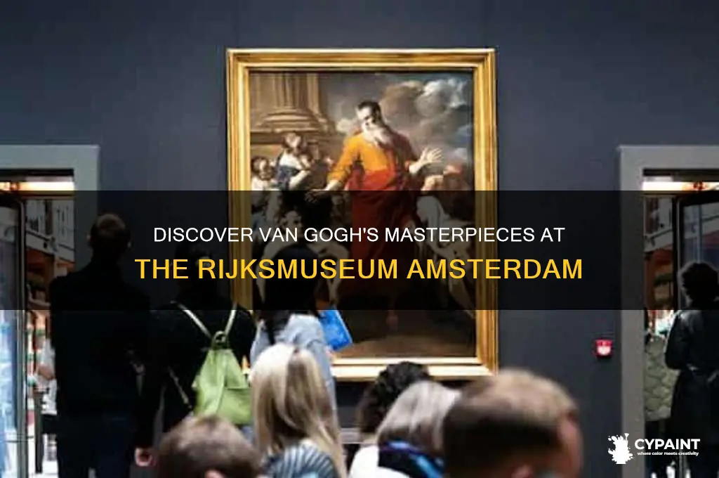 what van gogh paintings are in the rijksmuseum