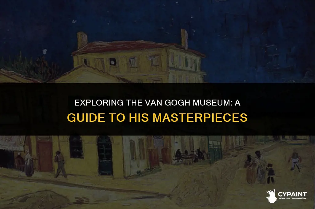 what van gogh paintings are in the van gogh museum