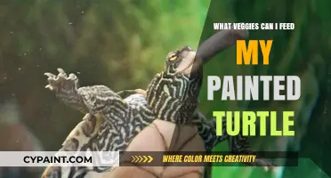A Colorful Diet: Safe and Nutritious Veggies for Your Painted Turtle
