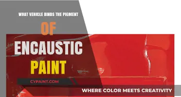 Unveiling the Wax Medium: Binding Encaustic Paint Pigments
