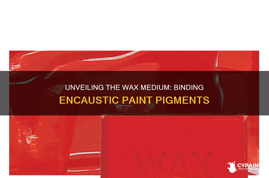 what vehicle binds the pigment of encaustic paint