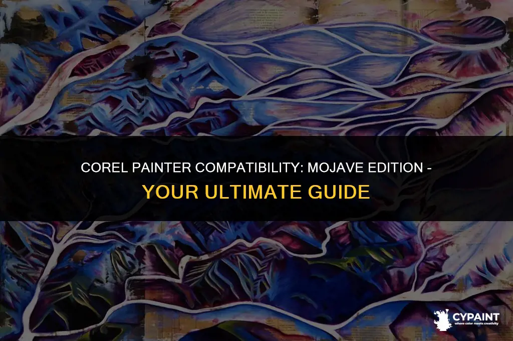 what version of corel painter works on mac os mojave