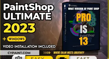 Unveiling PaintShop Pro 13: Features, Updates, and User Experience