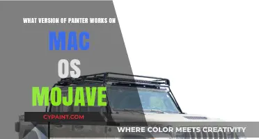 Painter Compatibility with macOS Mojave