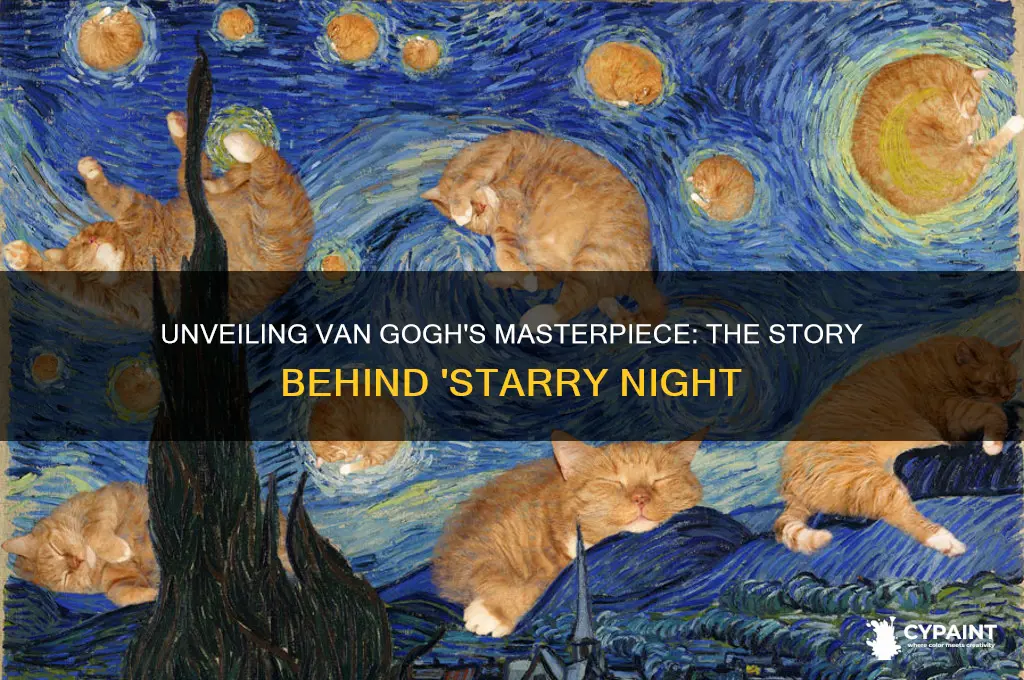 what vincent van gogh